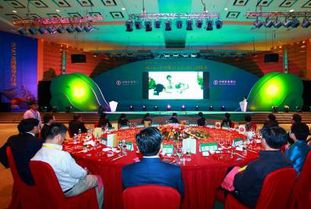 廣西專業婚慶策劃主持哪家好？非凡婚慶活動策劃全方位解析