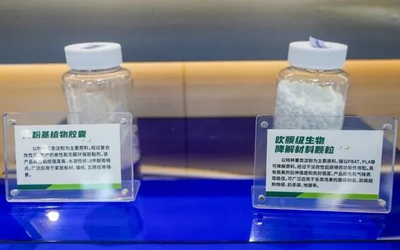 算力土豆 當(dāng)生物基材料研發(fā)在臺州破土而出